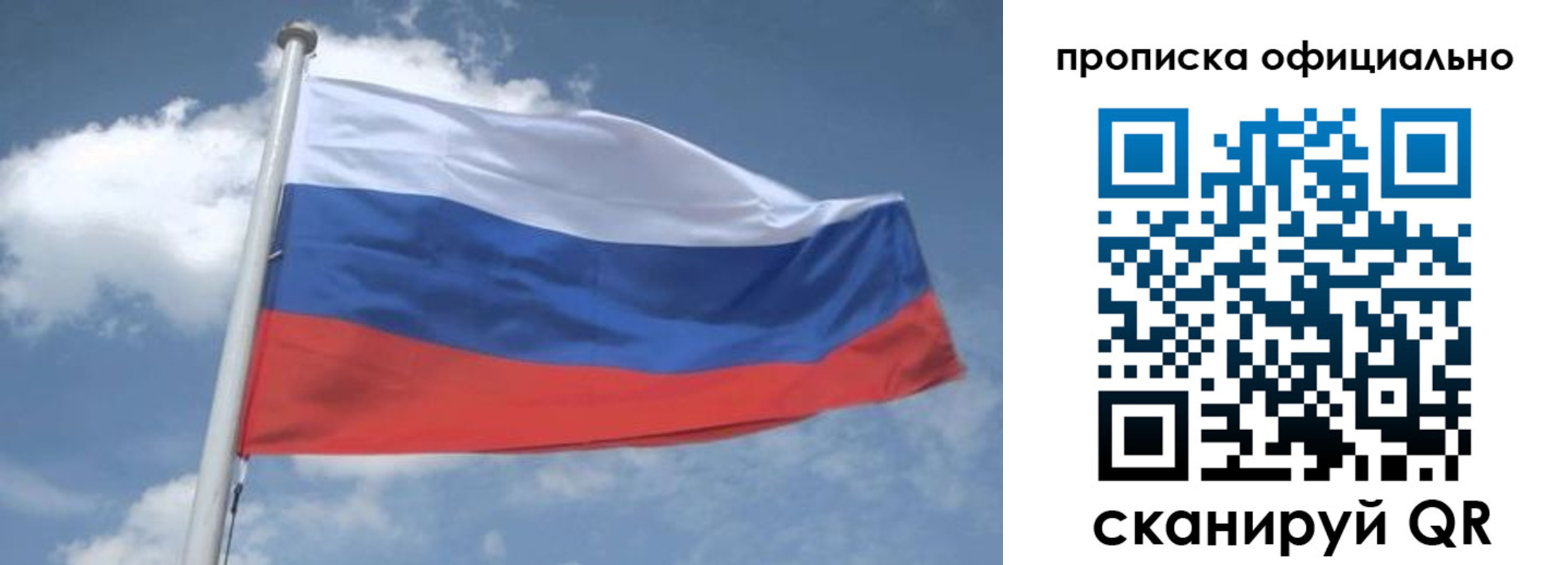 прописка для школы в Ельне
